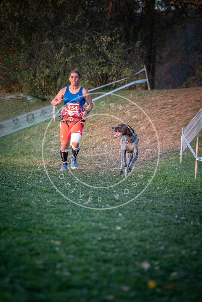 CaniXpix_0L8A2076 | Hundefotografie, Tierfotograf, Pfotenfotografie, Fotoshooting Hund, Hunde Portrait, Hundesport, Hundeportraits, Heideshooting, Hunde, Sportfotograf, Hundefotograf, Turnierhundsport, THS,  - Realisiert mit Pictrs.com