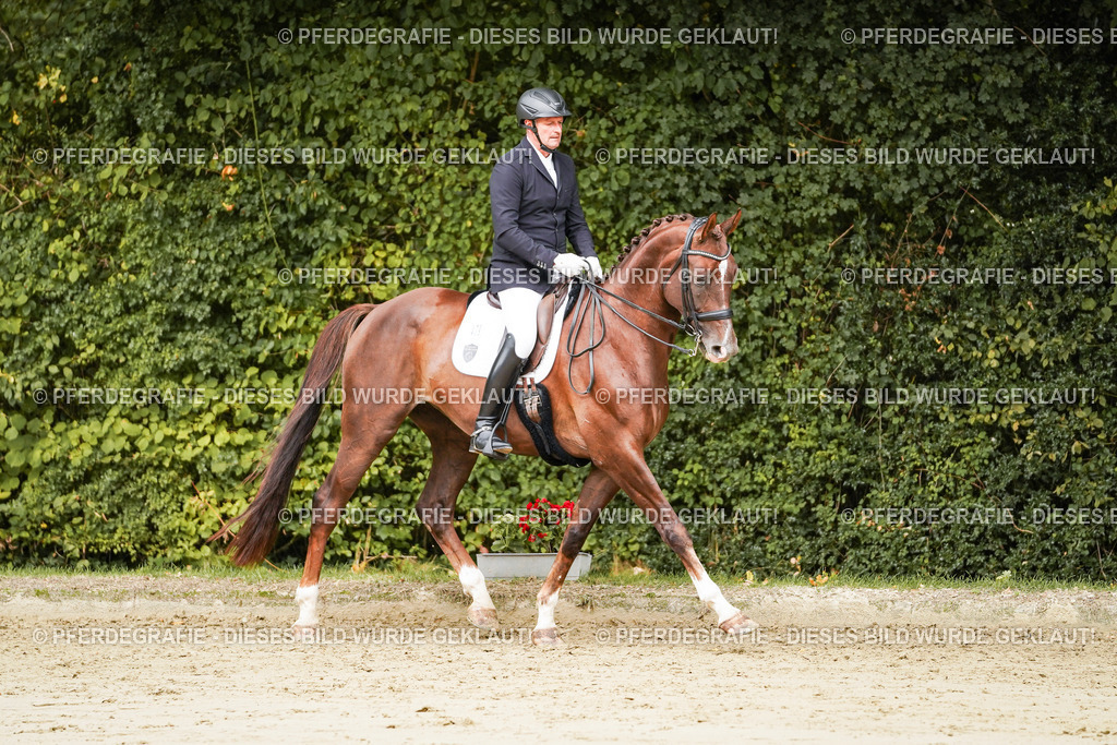 DSC03634 | Pferdegrafie