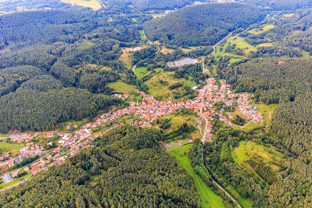Luftbild: Ortsansicht von Südwesten in Schwanheim im Bundesland Rheinland-Pfalz in Deutschland. Foto: IMG_128466.jpg vom 21.08.2021 durch Werner Riehm/FLY-FOTO.de