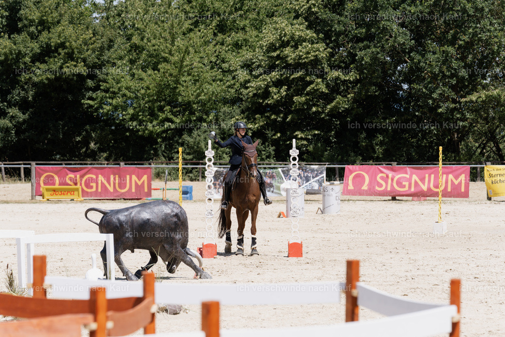 WM_SP_5_SinaFilmArt_IN07496 | working equitationturnier fotograf videograf stoibphotography marixx film working equitation deutschland reitsport turnierfotografie eventfotografie equestrian events