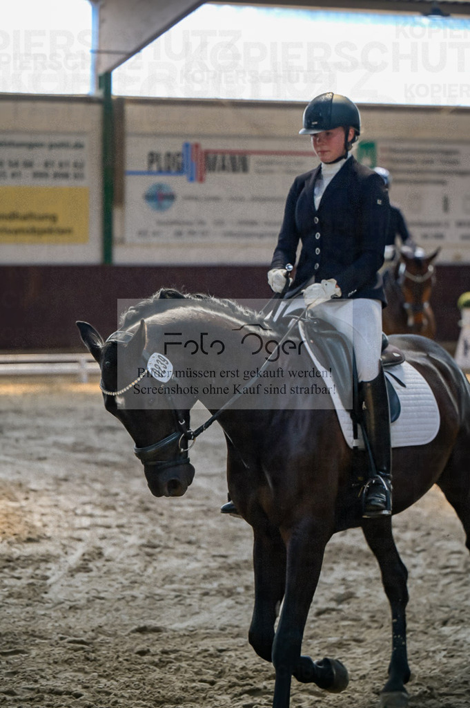 Reitturnier Voxtrup | Entdecke hochwertige Reitturnierfotos von Foto Oger. Professionell, emotional und authentisch – jetzt Lieblingsmomente im Shop bestellen.Deutschlandweite Turnierfotografie. - Realisiert mit Pictrs.com