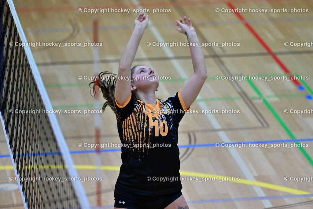 ASKÖ Volley Eagles Villach vs. VC Hausmannstätten | #10 СЕНІС Еlwira ASKÖ Volley Eagles Villach, ASKÖ Volley Eagles Villach vs. VC Hausmannstätten, ASKÖ Volley Eagles Villach vs. VC Hausmannstätten am 01.02.2025 in Villach (Ballspielhalle Lind), Austria, (Photo by Bernd Stefan)