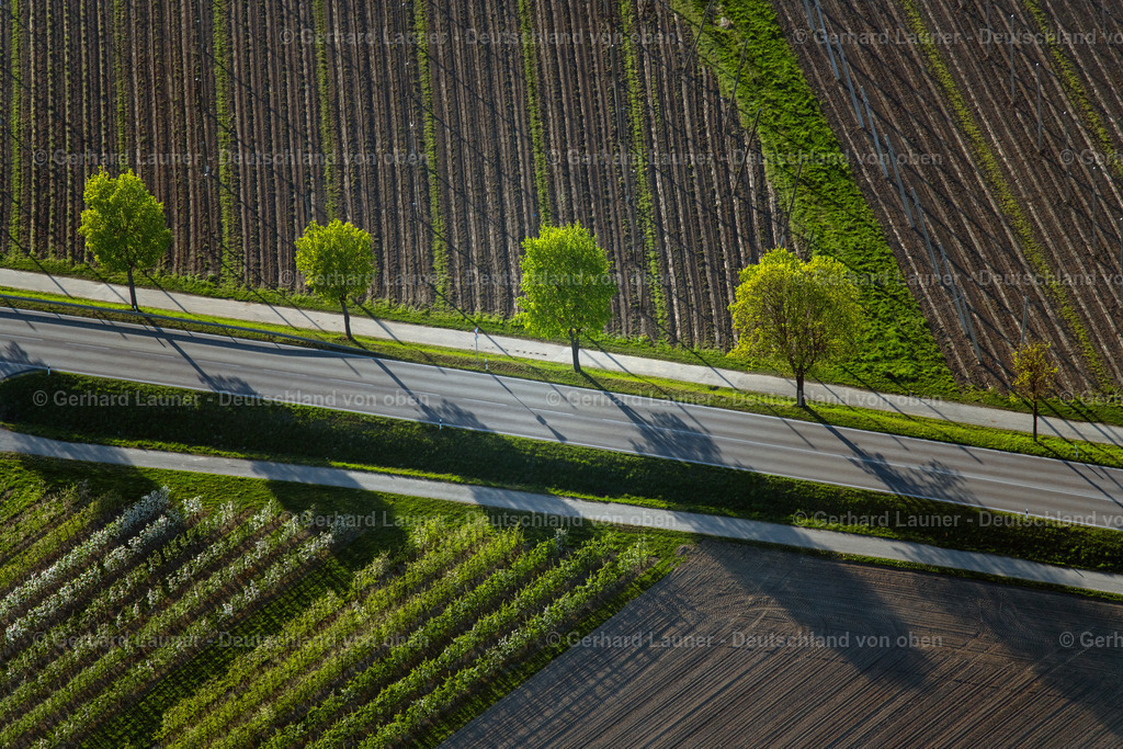 4024564 | FRIEDRICHSHAFEN 15.04.2020 Landschaft vorwiegend landwirtschaftlich genutzte Felder mit angrenzenden Wald- und Forstflächen bei Ailingen in Friedrichshafen im Bundesland Baden-Württemberg, Deutschland. // Agricultural fields with adjacent forest and forest areas bei Ailingen in Friedrichshafen in the state Baden-Wuerttemberg, Germany. Foto: Gerhard Launer