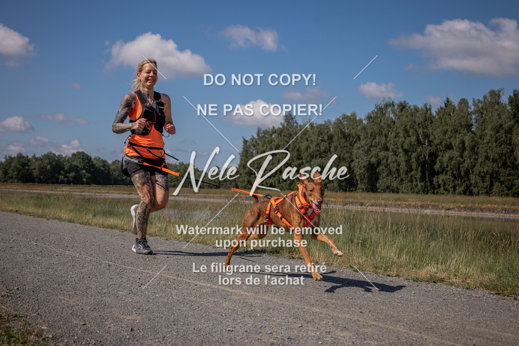 nelerasche_BuHu2026_SaCC10-11_44 | nelerasche