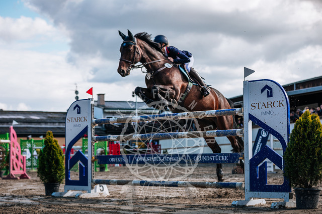 2B4A3743 | pixelfaenger - Realisiert mit Pictrs.com