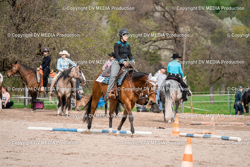 BAL02663 | dv-media-shop - Realisiert mit Pictrs.com