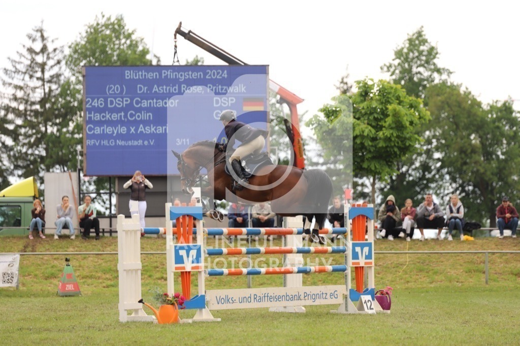 IMG_8882 | Pauline Ullmann Photography - Realisiert mit Pictrs.com