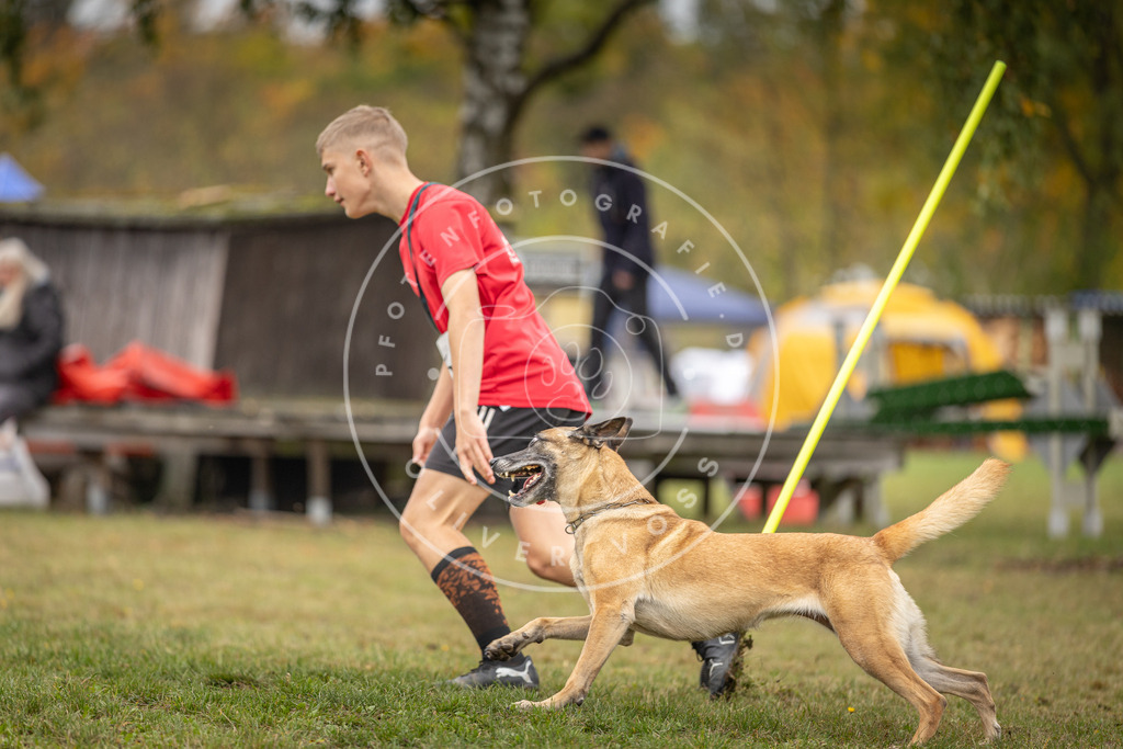 Pfotenfotografie_DV3A5055 | Hundefotografie, Tierfotograf, Pfotenfotografie, Fotoshooting Hund, Hunde Portrait, Hundesport, Hundeportraits, Heideshooting, Hunde, Sportfotograf, Hundefotograf, Turnierhundsport, THS,  - Realisiert mit Pictrs.com