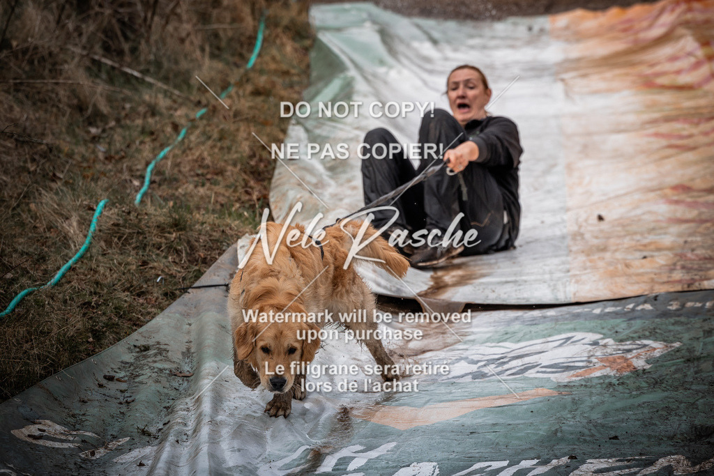 nelerasche_1330-1400_128 | nelerasche