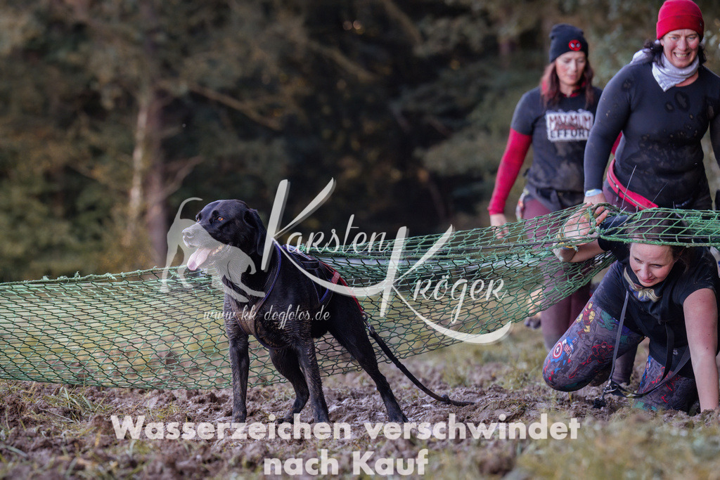 1008_ZZ90458 | kk-dogfotos