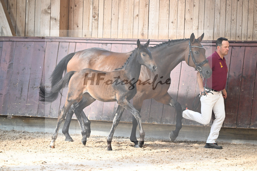 Kat-Nr. 20 Duplexx x Grafenstolz_SF_Formann_25250393 | hf-fotografie - Realisiert mit Pictrs.com