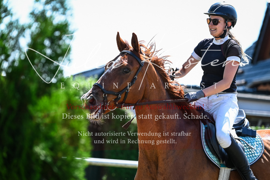 DSC_1253 | Pferde- und Turnierfotografie in Westsachsen. Pferdeportraits, Auftragszeichnungen und intuitive Kunst.