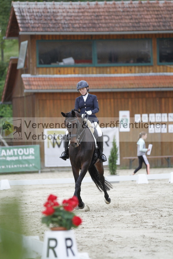 _MG_5481 | equestrian-live-com