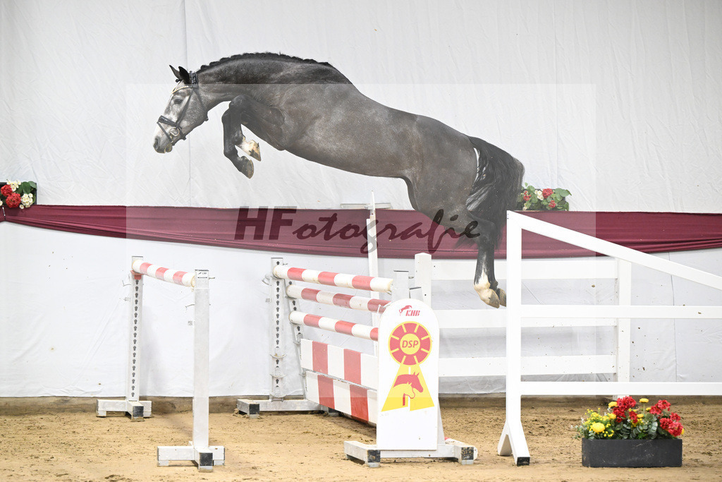 Kat-Nr. 72 Chacoon Blue x Contagio_Matthias Schlamminger GmbH_47252948 | hf-fotografie - Realisiert mit Pictrs.com