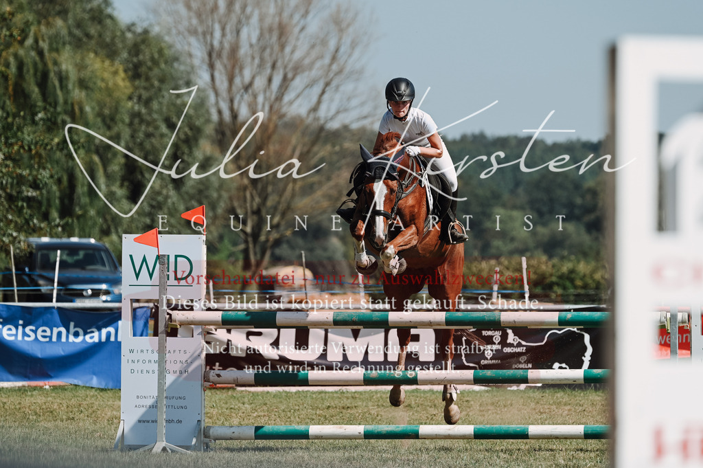 DSC_6398 | Pferde- und Turnierfotografie in Westsachsen. Pferdeportraits, Auftragszeichnungen und intuitive Kunst.