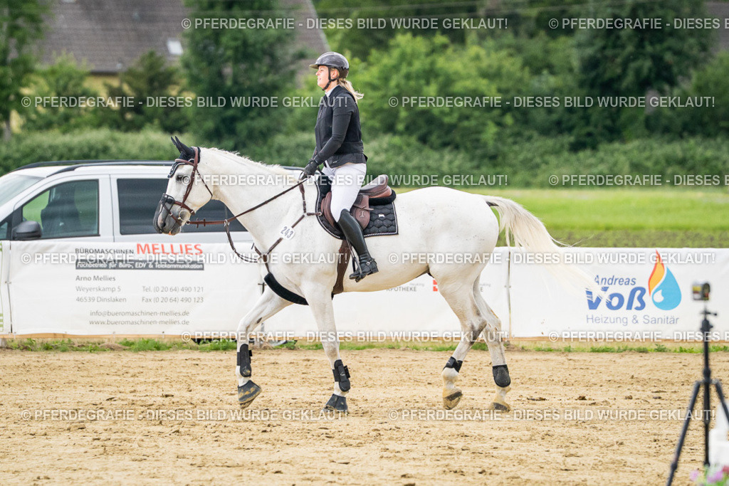 DSC06695 | Pferdegrafie