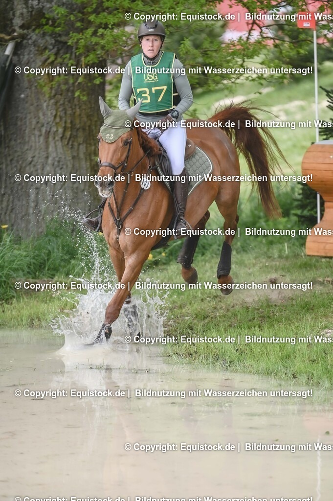 20250517_CCI1_Gelände_0437 | Foto: Thomas Hartig