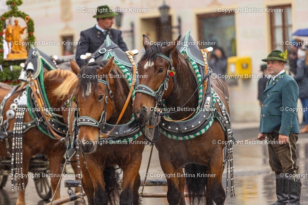 LL25-284 | foto-bettina-krinner - Realisiert mit Pictrs.com