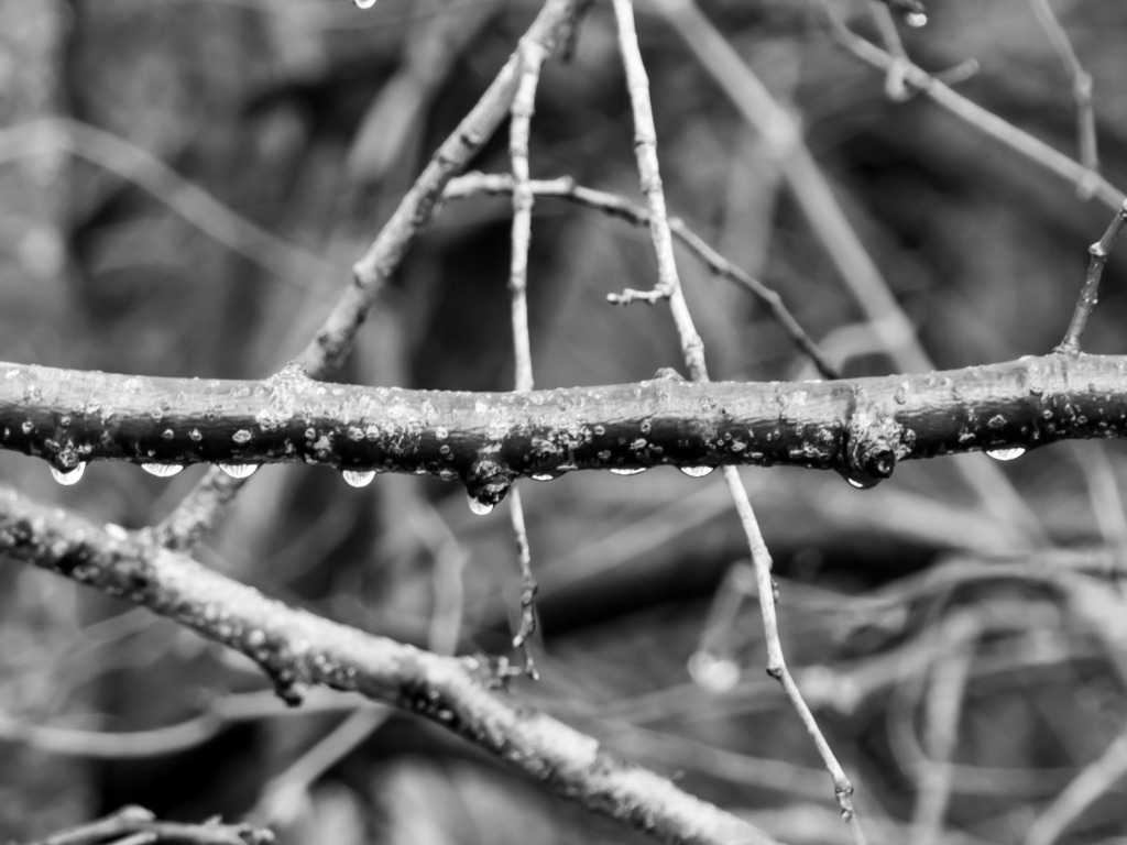 PSX_20230227_225524 | mtkfoto_ - Realisiert mit Pictrs.com