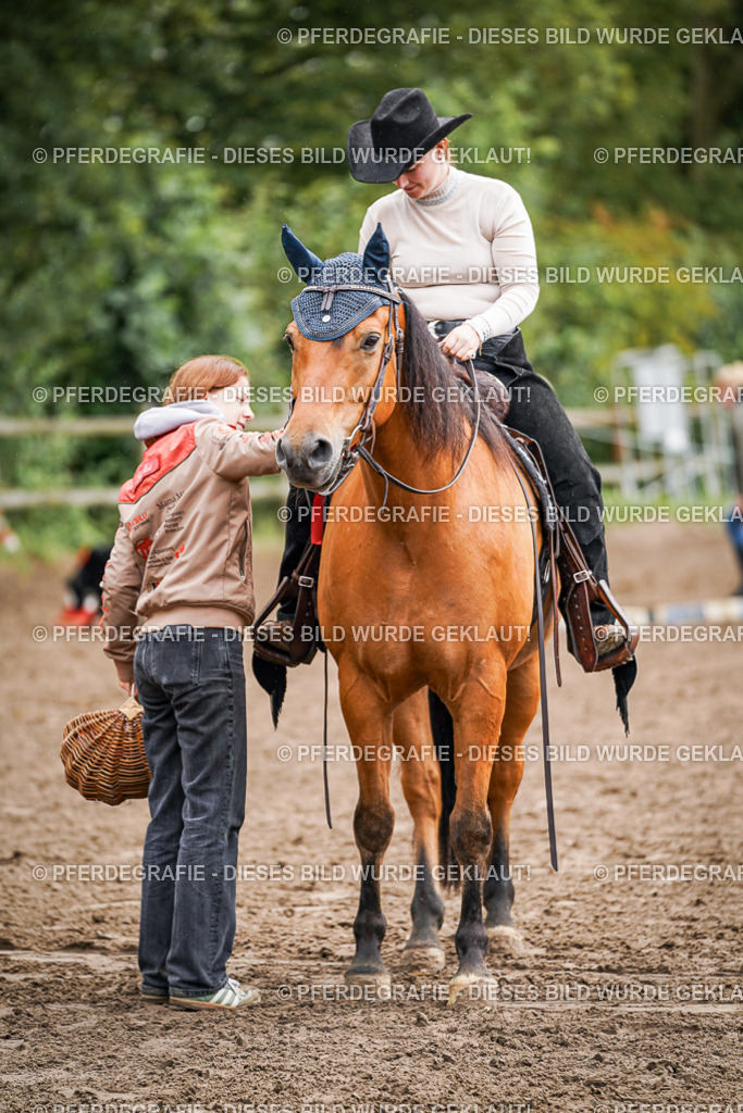 DSC04578 | Pferdegrafie