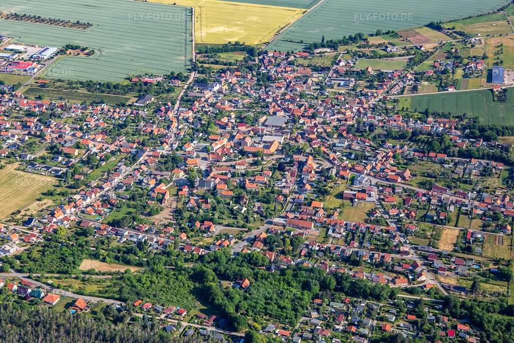 Luftbild: Ortsansicht von Süden im Ortsteil Rieder in Ballenstedt im Bundesland Sachsen-Anhalt in Deutschland. Foto: IMG_136358.jpg vom 15.06.2023 durch Werner Riehm/FLY-FOTO.de