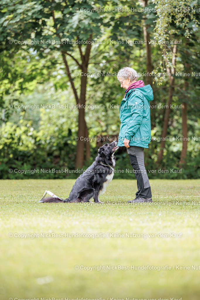 RO-Blumenthal-2026-Nickbest-Hundefotografie-5476 | Dein Hund! Dein Moment! Deine Erinnerungen! Hundefotografie in Bremen Blumenthal. Ich fange die besonderen Momente deines Vierbeiners ein – ob Indoor mit Blitzanlage oder in der freien Natur. Sicher dir dein Moment und dein Termin für eure Erinnerungen.