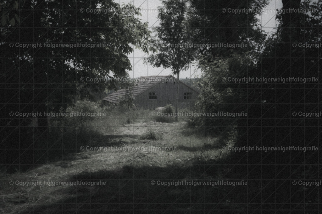 20260616104845Z63_4598 | Kaufen sie online außergewöhnliche Fotografien auf Leinwand Acrylglas Fotoprint Aludibond von holgerweigeltfotografie - Realisiert mit Pictrs.com