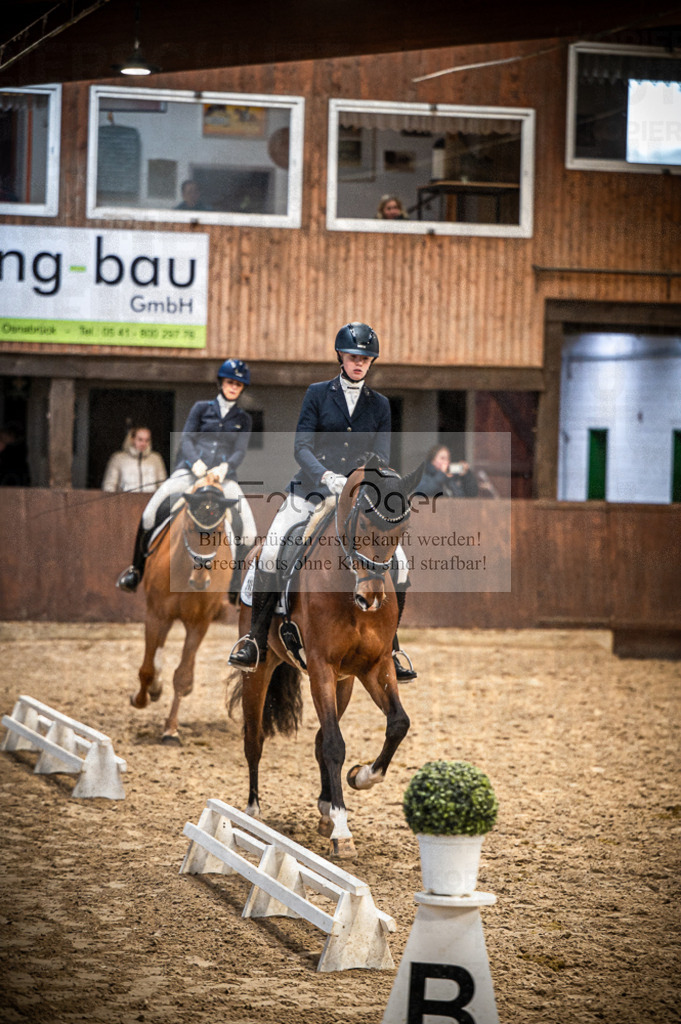 Hallenreittunier Voxtrup 2023 | Entdecke hochwertige Reitturnierfotos von Foto Oger. Professionell, emotional und authentisch – jetzt Lieblingsmomente im Shop bestellen.Deutschlandweite Turnierfotografie. - Realisiert mit Pictrs.com