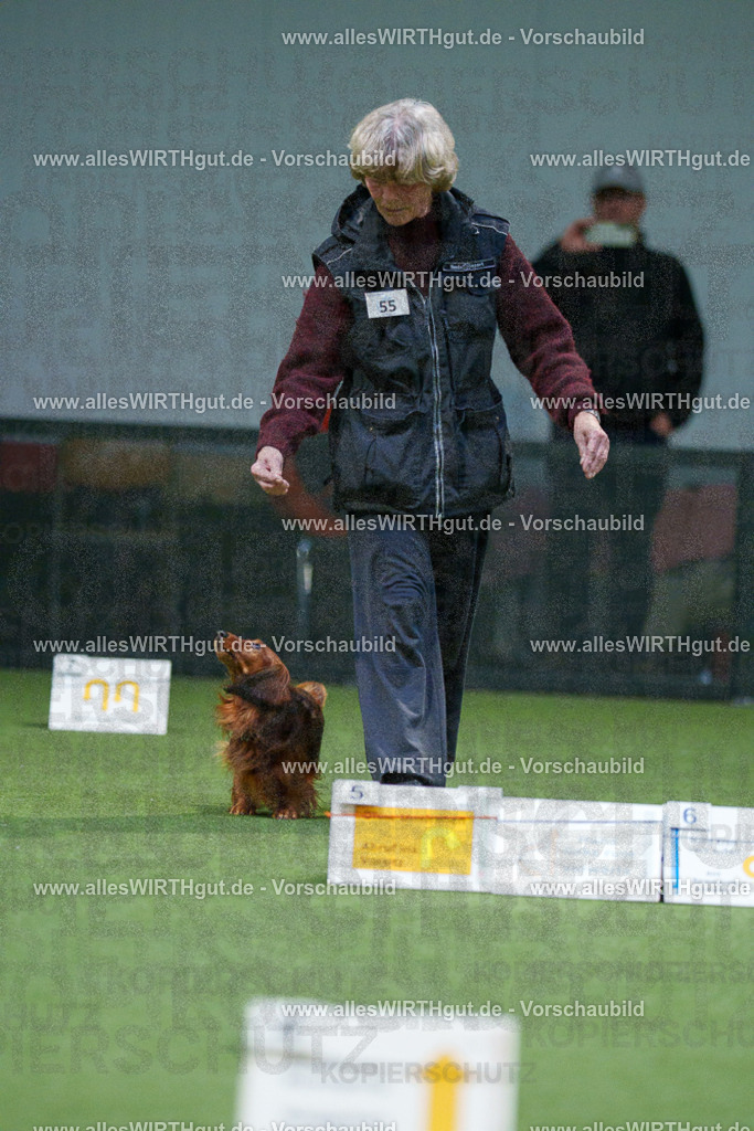 7R506859 | Professionelle Tierfotografie in Mönchengladbach von Daniel Wirth (allesWIRTHgut). Liebevolle & natürliche Bilder von Hunden & Katzen für unvergessliche Erinnerungen.