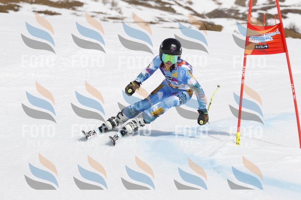 _U3G2872 | holidayphoto