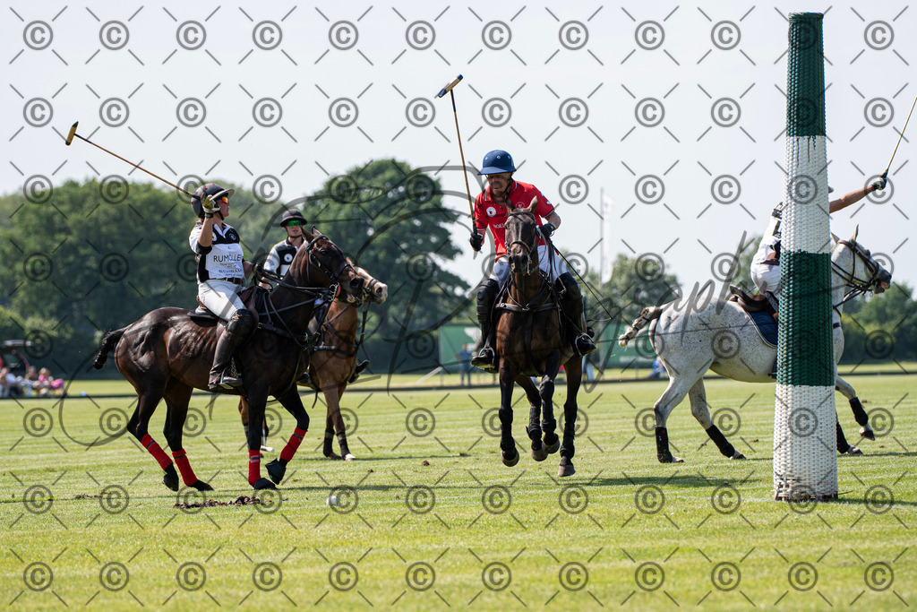 POL_2335 | andre_photographic