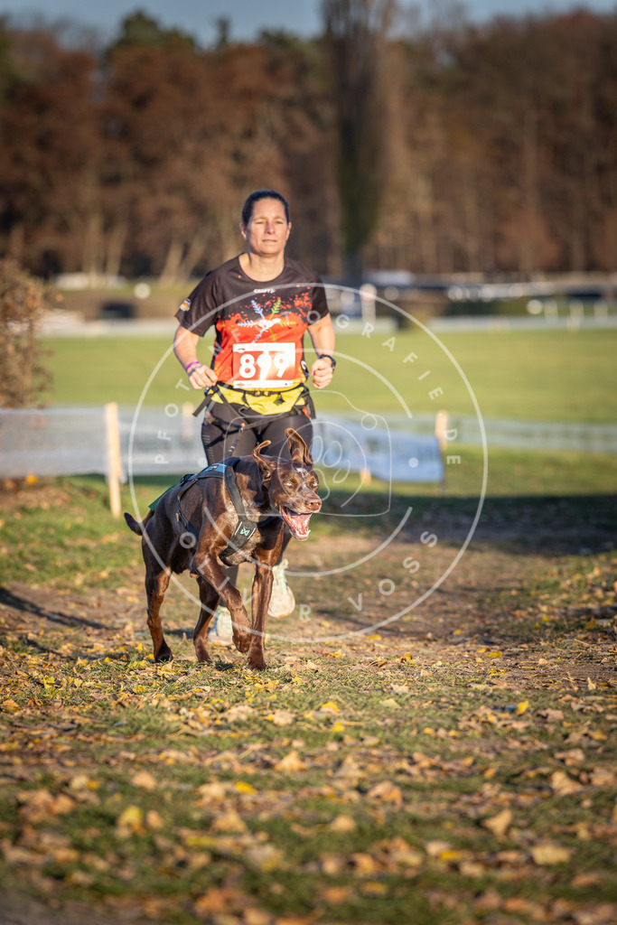 CaniXpix_DV3A4574 | Hundefotografie, Tierfotograf, Pfotenfotografie, Fotoshooting Hund, Hunde Portrait, Hundesport, Hundeportraits, Heideshooting, Hunde, Sportfotograf, Hundefotograf, Turnierhundsport, THS,  - Realisiert mit Pictrs.com