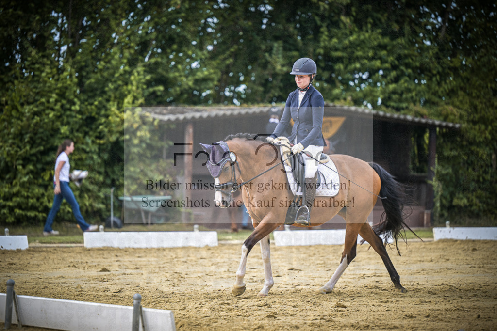 DOS_9162 | Entdecke hochwertige Reitturnierfotos von Foto Oger. Professionell, emotional und authentisch – jetzt Lieblingsmomente im Shop bestellen.Deutschlandweite Turnierfotografie. - Realisiert mit Pictrs.com