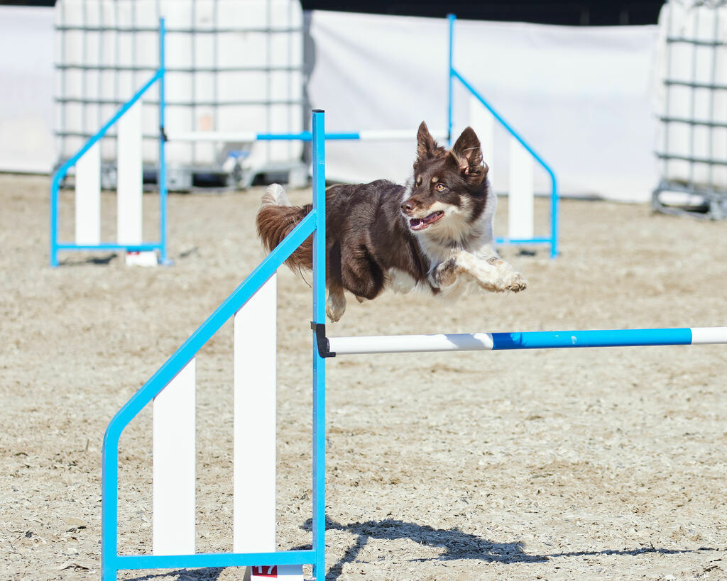 580A0173 | Peter Fridle Fotografie - Realisiert mit Pictrs.com