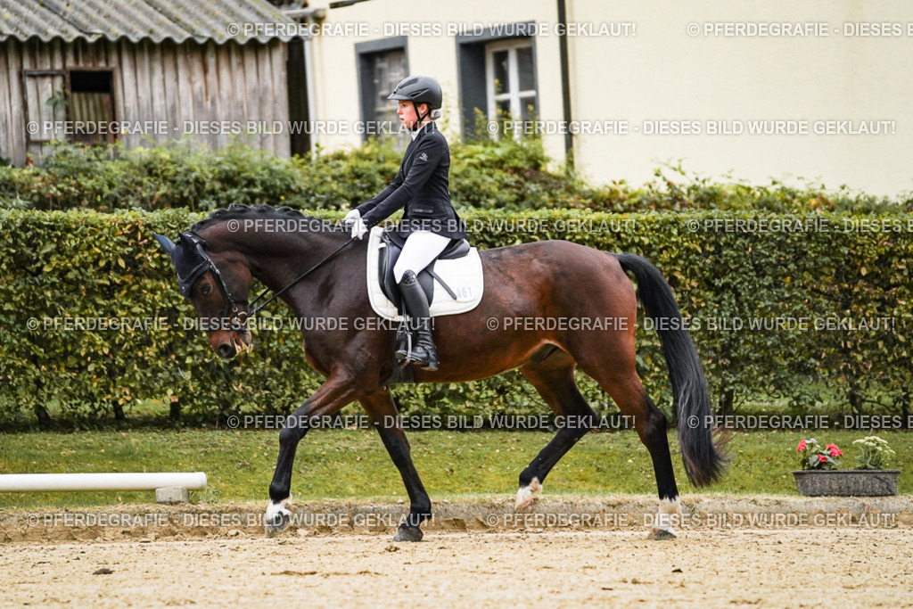 DSC06346 | Pferdegrafie