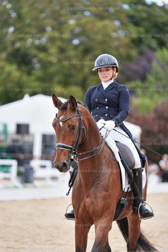 6-001-AMATUER-DRESSUR S_  -Marixx-3728 | working equitationturnier fotograf videograf stoibphotography marixx film working equitation deutschland reitsport turnierfotografie eventfotografie equestrian events