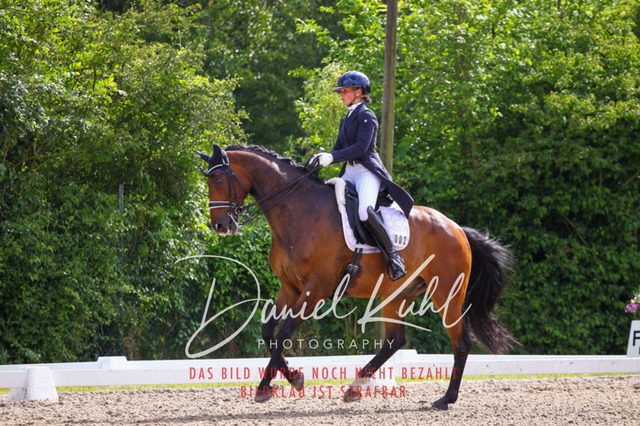 DKP41450 | Turnierfotos kaufen im Webshop von Daniel Kuhl Photography – entdecke professionelle Reitsportfotos aus Turnieren & Events. Hochwertige Turnierbilder online bestellen & sichern. Jetzt Fotos von Reitsportturnieren kaufen!
