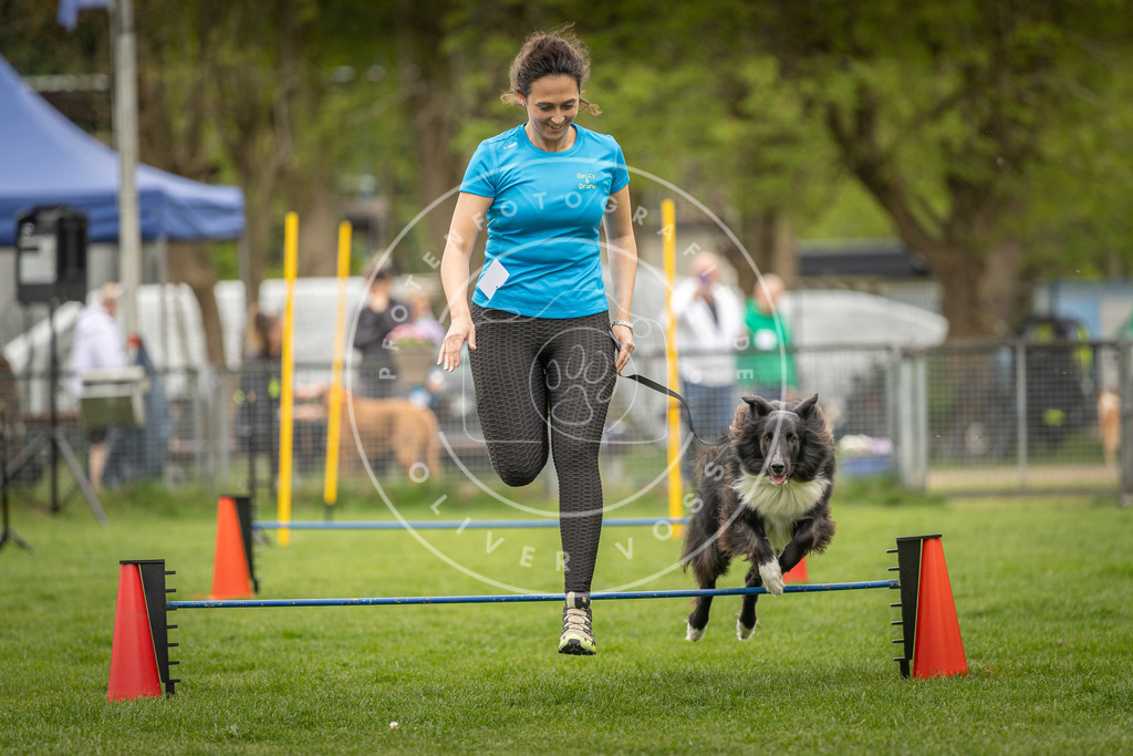 Pfotenfotografie_DV3A2439 | Hundefotografie, Tierfotograf, Pfotenfotografie, Fotoshooting Hund, Hunde Portrait, Hundesport, Hundeportraits, Heideshooting, Hunde, Sportfotograf, Hundefotograf, Turnierhundsport, THS,  - Realisiert mit Pictrs.com