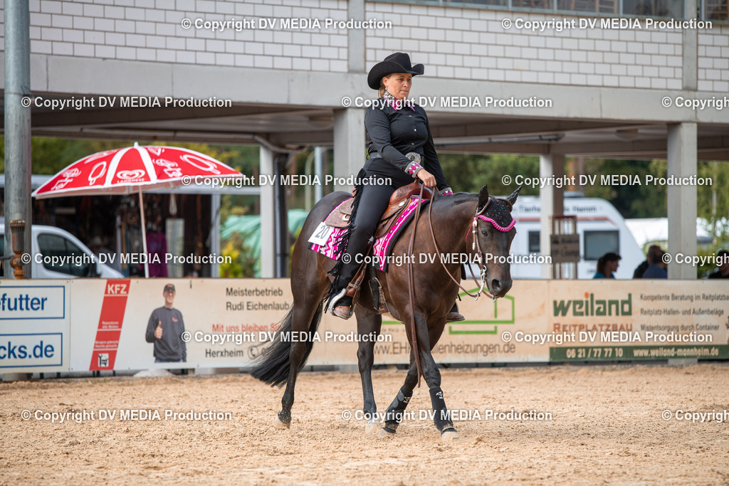 EWP_5660 | dv-media-shop - Realisiert mit Pictrs.com