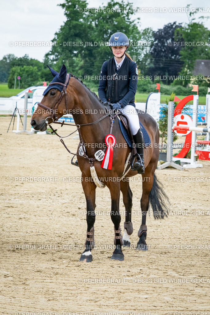 DSC03885 | Pferdegrafie