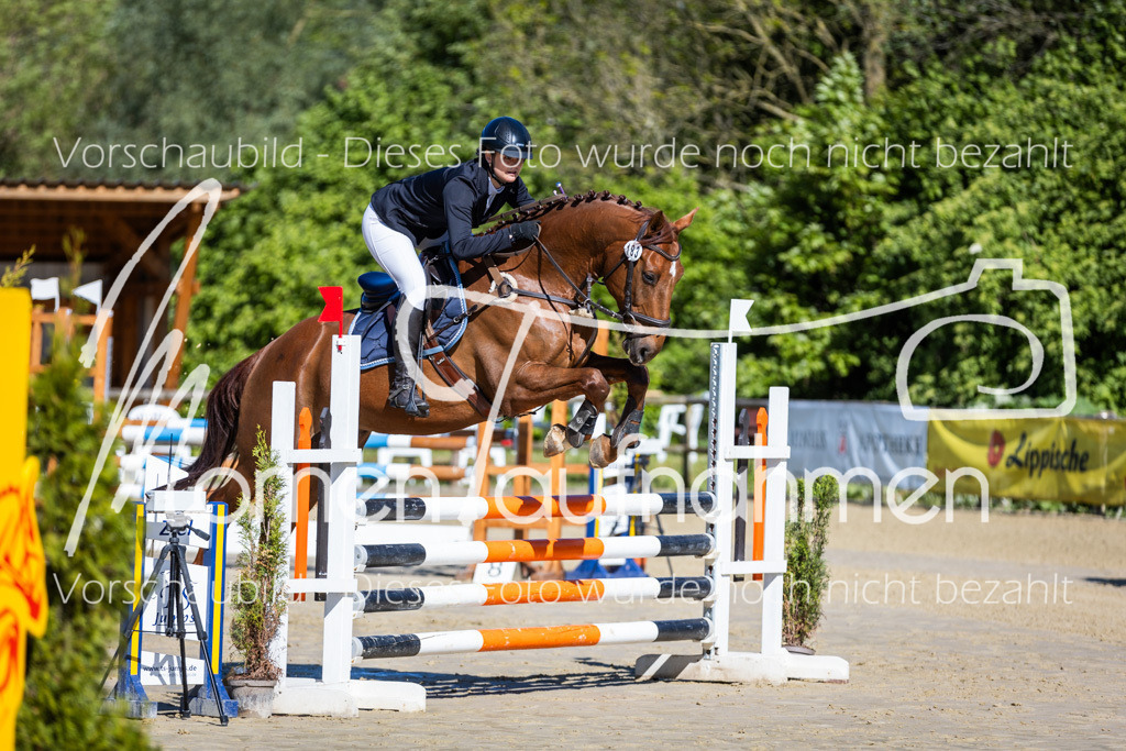 Donop24-A2Spr-002 | MomenTaufnahmen Pferdesportfotos