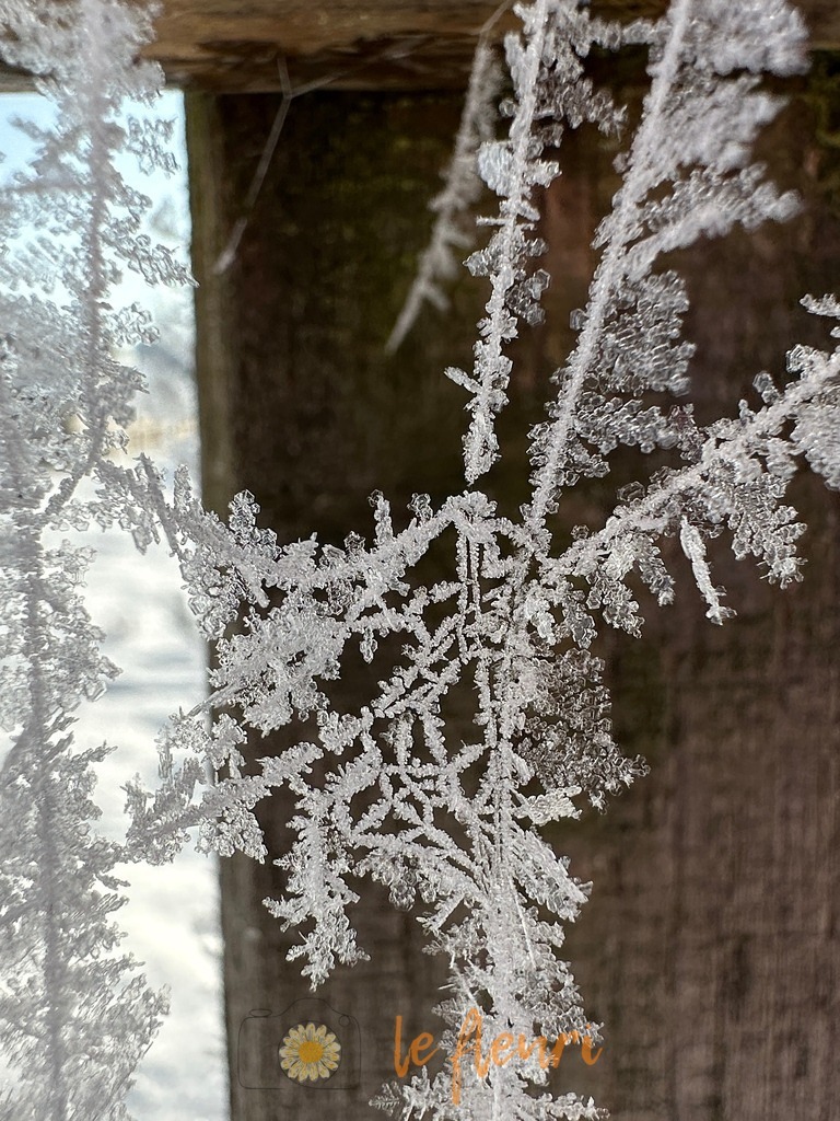 IMG_6727 | Dies ist der Shop von Florian Blum - le fleuri. Langenthal, Bern, Schweiz. Sie können hier meine oder ihre eigenen Fotos als Fotoprodukte kaufen. Tassen, Schlüsselanhänger, Taschen etc. können Sie hier gestalten.  - Realisiert mit Pictrs.com