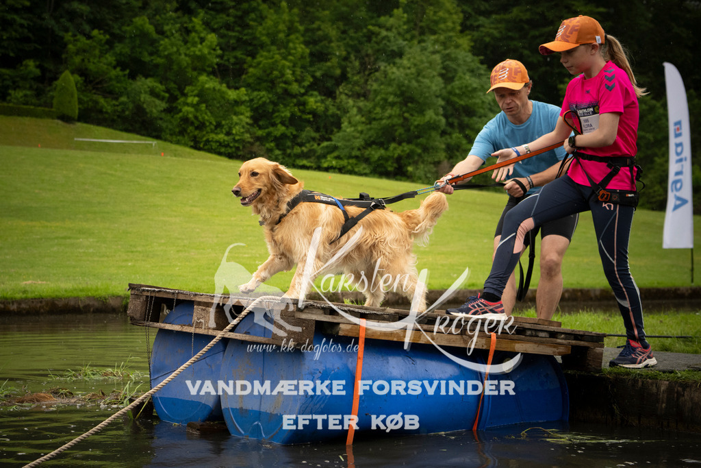 1201_ZZ96420 | kk-dogfotos