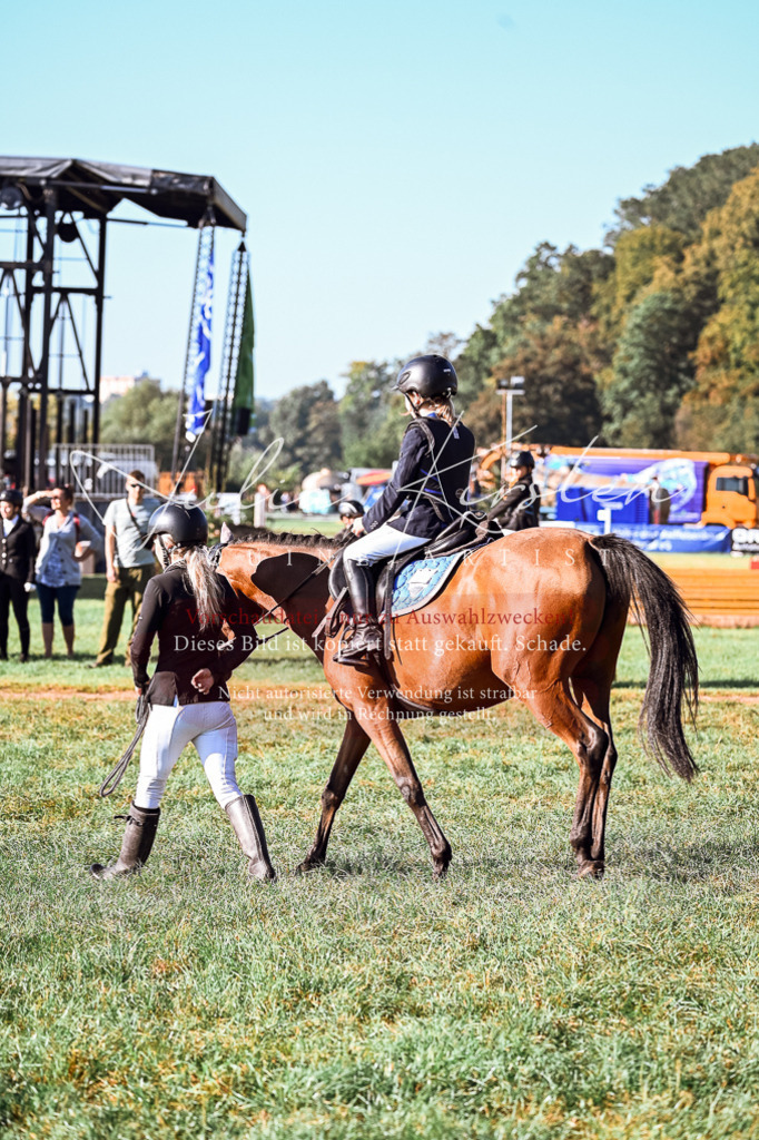 DSC_0218 | Pferde- und Turnierfotografie in Westsachsen. Pferdeportraits, Auftragszeichnungen und intuitive Kunst.