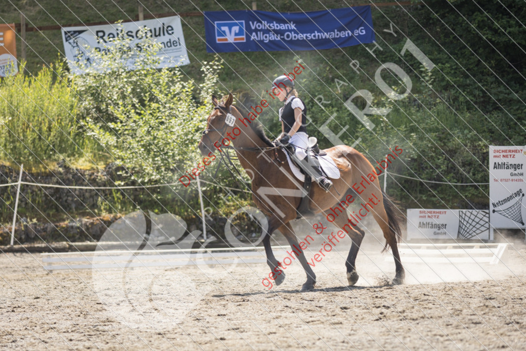 IMG_4567 | Sport-, Event- und Tierfotos in Profiqualität. Einfach auswählen, bestellen und herunterladen. Dein Moment – perfekt festgehalten.