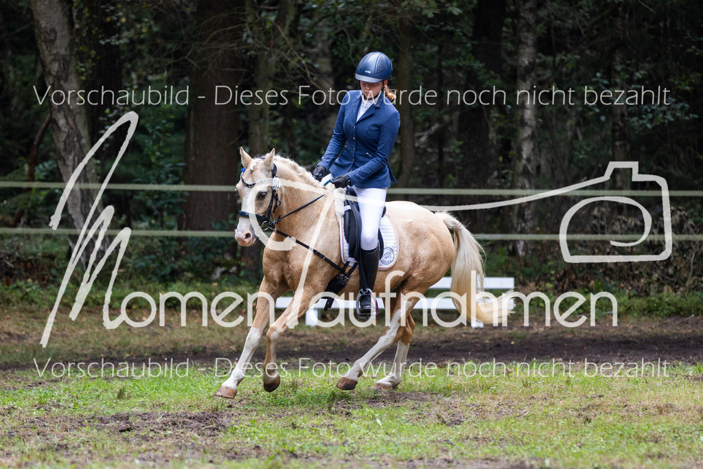 HB-Reiter-WB-064 | MomenTaufnahmen Pferdesportfotos