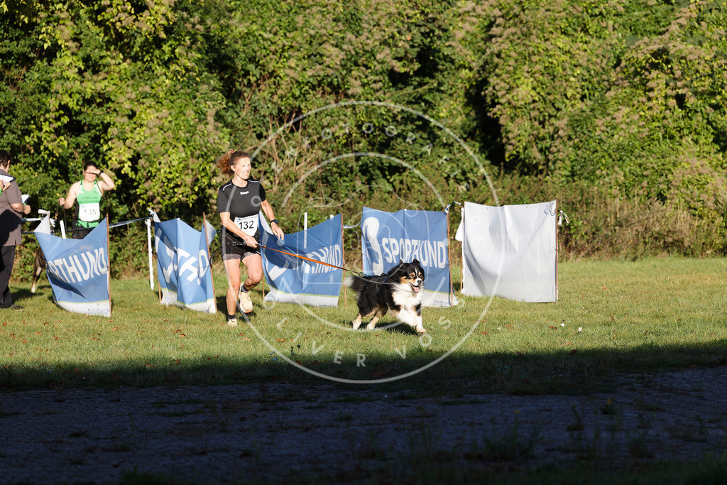 0L8A4898 | Hundefotografie, Tierfotograf, Pfotenfotografie, Fotoshooting Hund, Hunde Portrait, Hundesport, Hundeportraits, Heideshooting, Hunde, Sportfotograf, Hundefotograf, Turnierhundsport, THS,  - Realisiert mit Pictrs.com