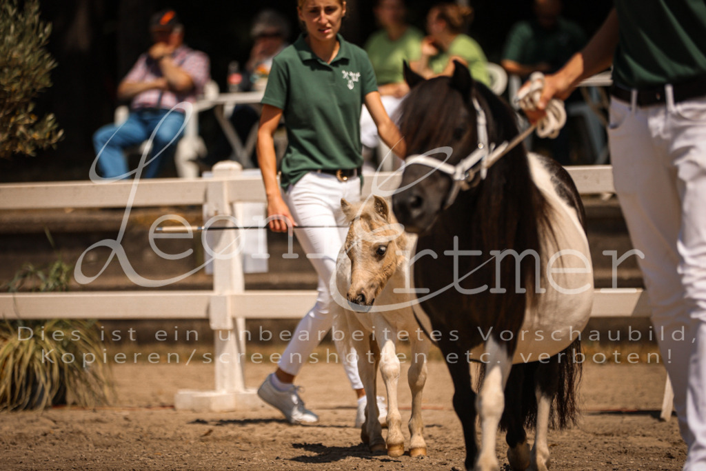 01.DoKR00059 | Leoni Ertmer Photography - Realisiert mit Pictrs.com