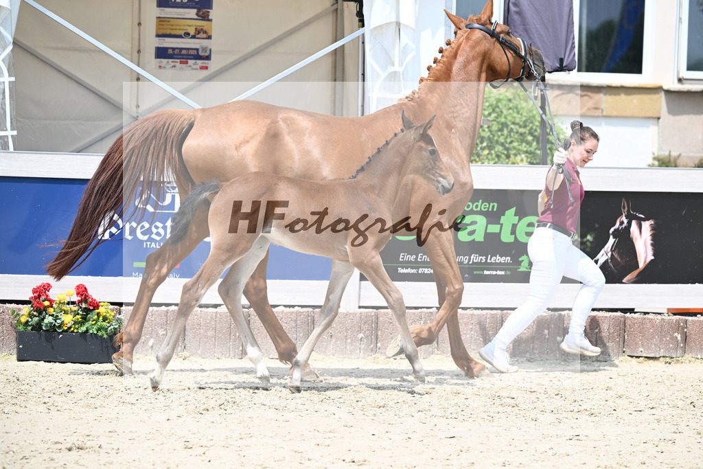 Cardento x Heartbreaker_SF_Wagner_12250860 | hf-fotografie - Realisiert mit Pictrs.com