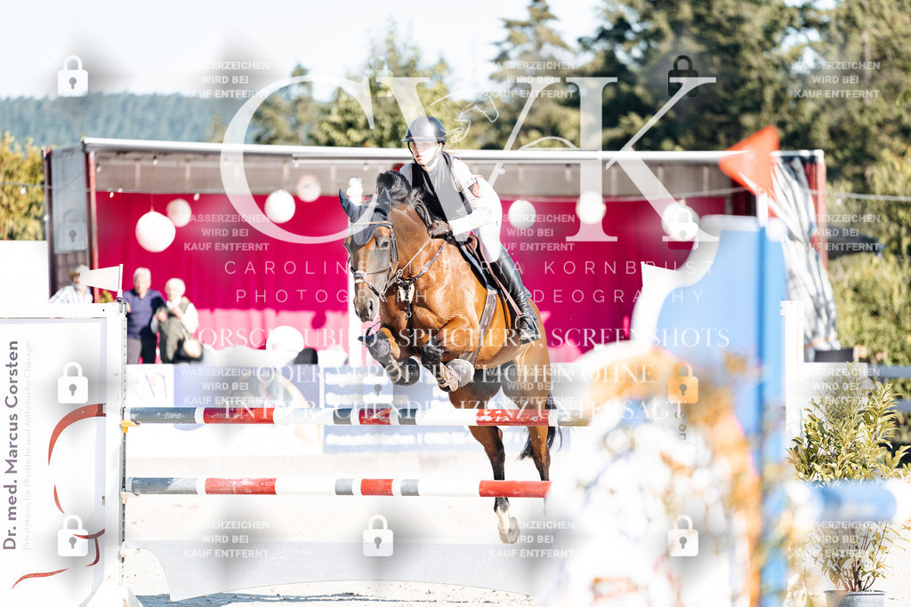 CK904553 | Turnierfotografie Pferdefotografie Trier Rheinland-Pfalz Pferdesport Reitsport Tierfotografie Sportfotografie Pferdevideo Pferdevideografie Equestrianvideography equestrianphotography  - Realisiert mit Pictrs.com